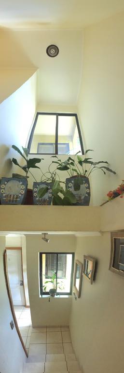 טלקה Hostal Del Turista מראה חיצוני תמונה